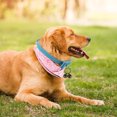 thumbnail image 1 of Raindrops 1Set Wear-Resistant Coffee Pet Collar Bells Multi-Function Dog and Cat Charm Lightweight and Portable, 1 of 6