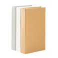 thumbnail image 1 of 3 Pcs Simulation Book Ornaments Fake Book Decorations Paper Book Model Decoration(24*16*3.5), 1 of 2