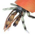 thumbnail image 4 of Simulación de cangrejo ermitaño, modelo realista, figuras de animales marinos para colección, ciencia educativa, 4 of 8