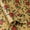 Red Floral, variant on Christmas Floral Gift Wrap Roll, 17.4" x 11' Poinsettia & Pine Kraft Paper, Holiday Wrapping for Women Girls Birthday Wedding Bridal Shower
