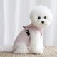 thumbnail image 2 of Correa para perro chaleco Teddy perro pequeño mascota correa para el pecho suministros para correa para perro JM Papelería, 2 of 5