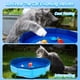 thumbnail image 4 of Juguete de piscina para gatos Eelexa portátil con 6 juguetes acuáticos en forma de pez, 4 of 8