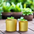 thumbnail image 3 of Ollie Ceramic Plain Round Pot (Set of 2), 3 of 11