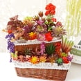 thumbnail image 3 of Gwong Decoración hogareña 1 UNID Artificial Suculenta Planta Brillante Color DIY Home Office Garden Bonsais Decoración Gwong 21042148, 3 of 7