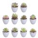 thumbnail image 1 of 10 Uds. Cabezas de flores suculentas de simulación DIY suministros creativos decoración interior plantas artificiales, 1 of 5