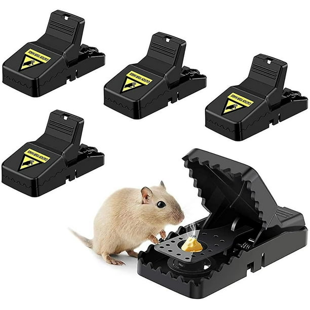 Mouse Trap Rat Traps Indoor Small Reusable Powerful Mouse Traps Bait Cup  Powerful Bites Effectively Lures Catches Mice Traps - AliExpress