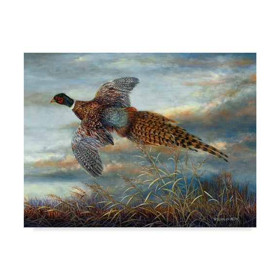 Trademark Fine Art 'Taking Flight' Canvas Art by Carolyn Mock