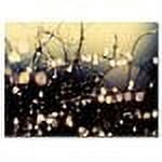 Trademark Fine Art "When Fairies Dance" Canvas Art by Beata Czyzowska