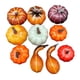 thumbnail image 2 of 10x calabazas artificiales, calabazas decorativas, exhibición de cosecha, decoración de Halloween, artesanías de espuma, calabazas para decorar repisa, 2 of 9
