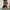 Black, variant on Oplxuo One Piece Swim Dress Swimsuits for Women Sexy Cutout Halter Tummy Control Bathing Suit Modest Skirted Swimwear