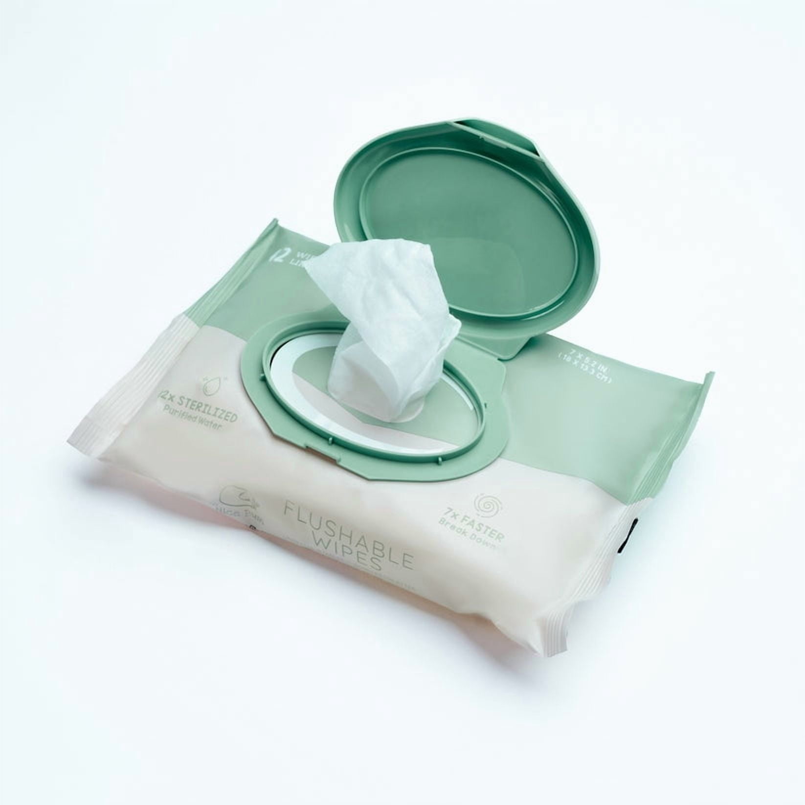 The Nice Bum Flushable Wipes, Adult Wet Wipes with EDI water, Bundle Wipes 42 ct * 6 packs