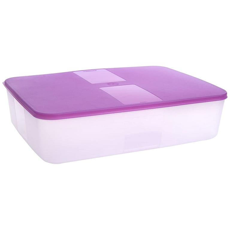 Freezer Mates® PLUS Large Shallow – Tupperware US
