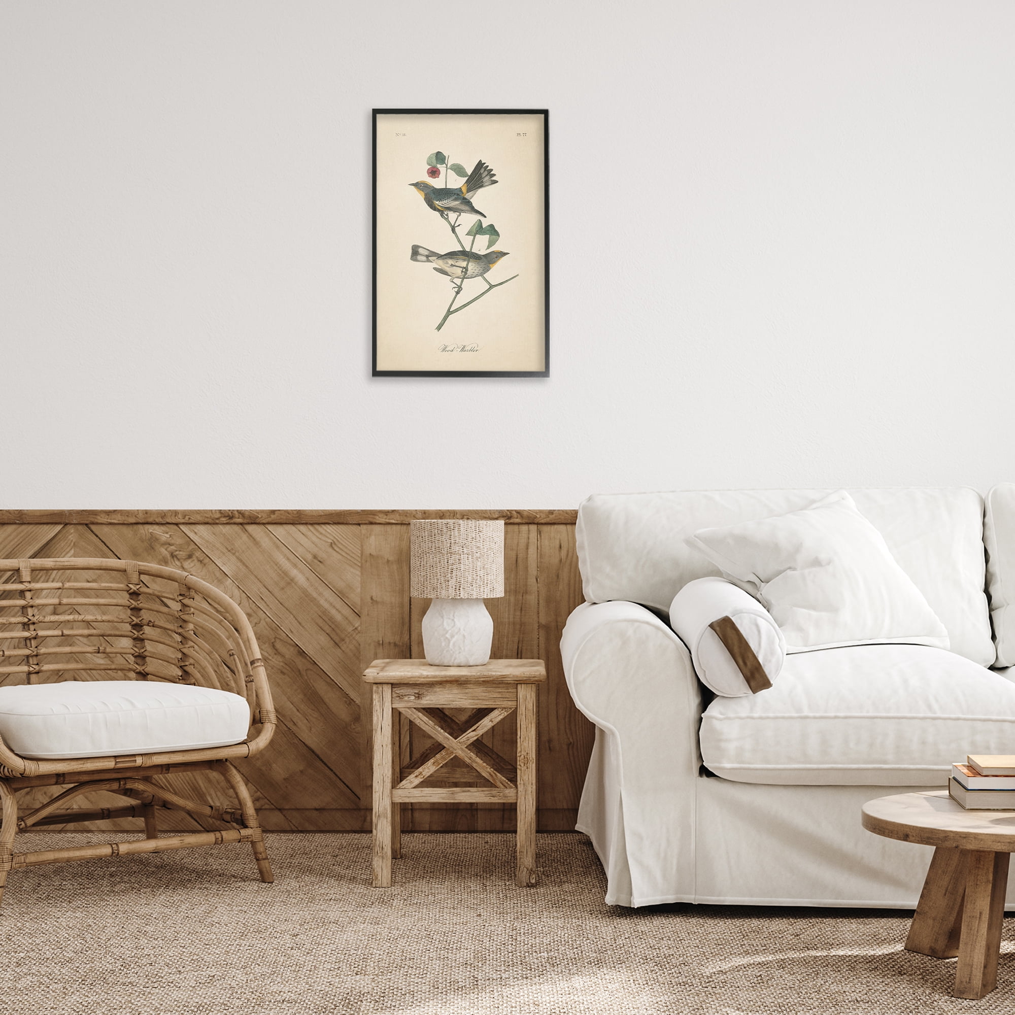 Stupell Industries Vintage Warbler Page Animals & Insects Painting Black Framed Art Print Wall Art, 16 x 24