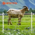 thumbnail image 6 of Electric Fence Poly Rope 656 ft, 1/4 inch, with 6 Stainless Steel Conductors for Horses & Large Animals, White, 6 of 7