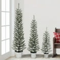thumbnail image 2 of Potted Flocked Pencil Trees in 3ft, 4ft & 5ft sizes, 322 Tips, Galvanized Pots, 2 of 2