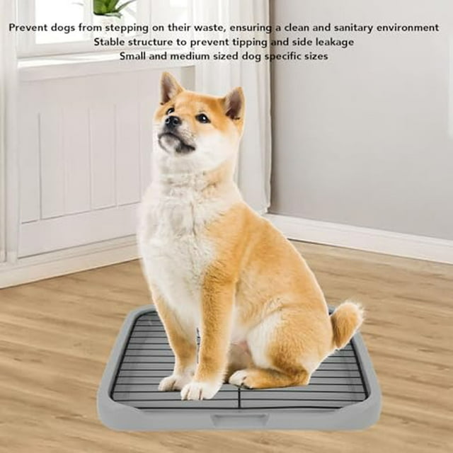 Plateau de Propreté pour Chien Intérieur en Maille, Support de Tapis de Propreté pour Chiot, Plateau d'Entraînement Amovible, Structure Stable, Tapis d'Entraînement pour Animaux