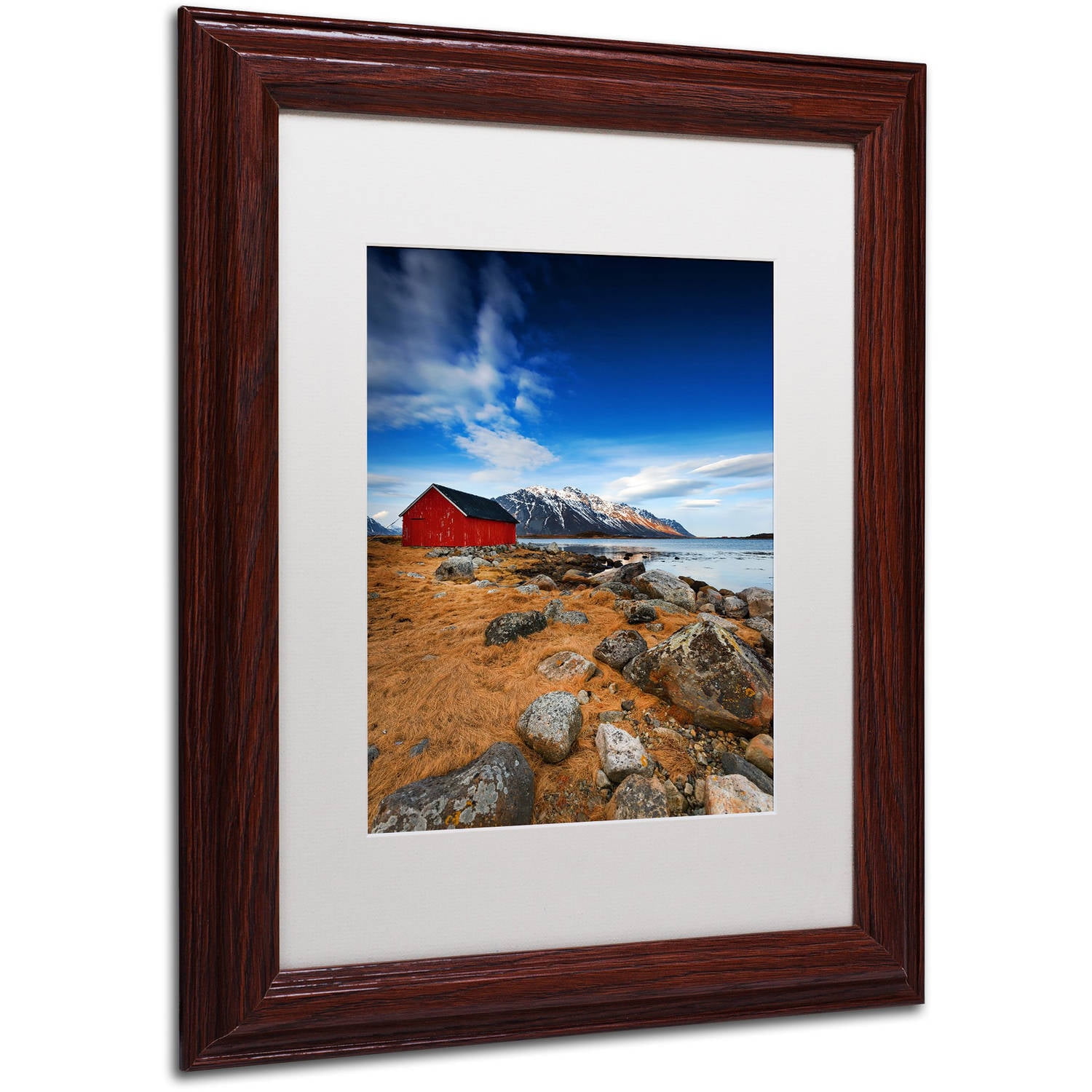 Trademark Fine Art "Endure" Canvas Art by Philippe Sainte-Laudy, White Matte, Wood Frame