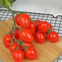 FRCOLOR True Artificial Fruit Decoration Simulated Tomato 4.00X2.00X2.00CM Red
