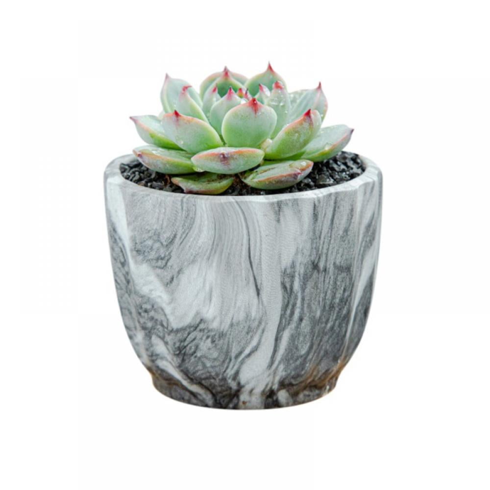 Details about   Tyominta 2.75'' Marble Mini Succulent Pots Ceramic Planters Cactus Bonsai Flower 
