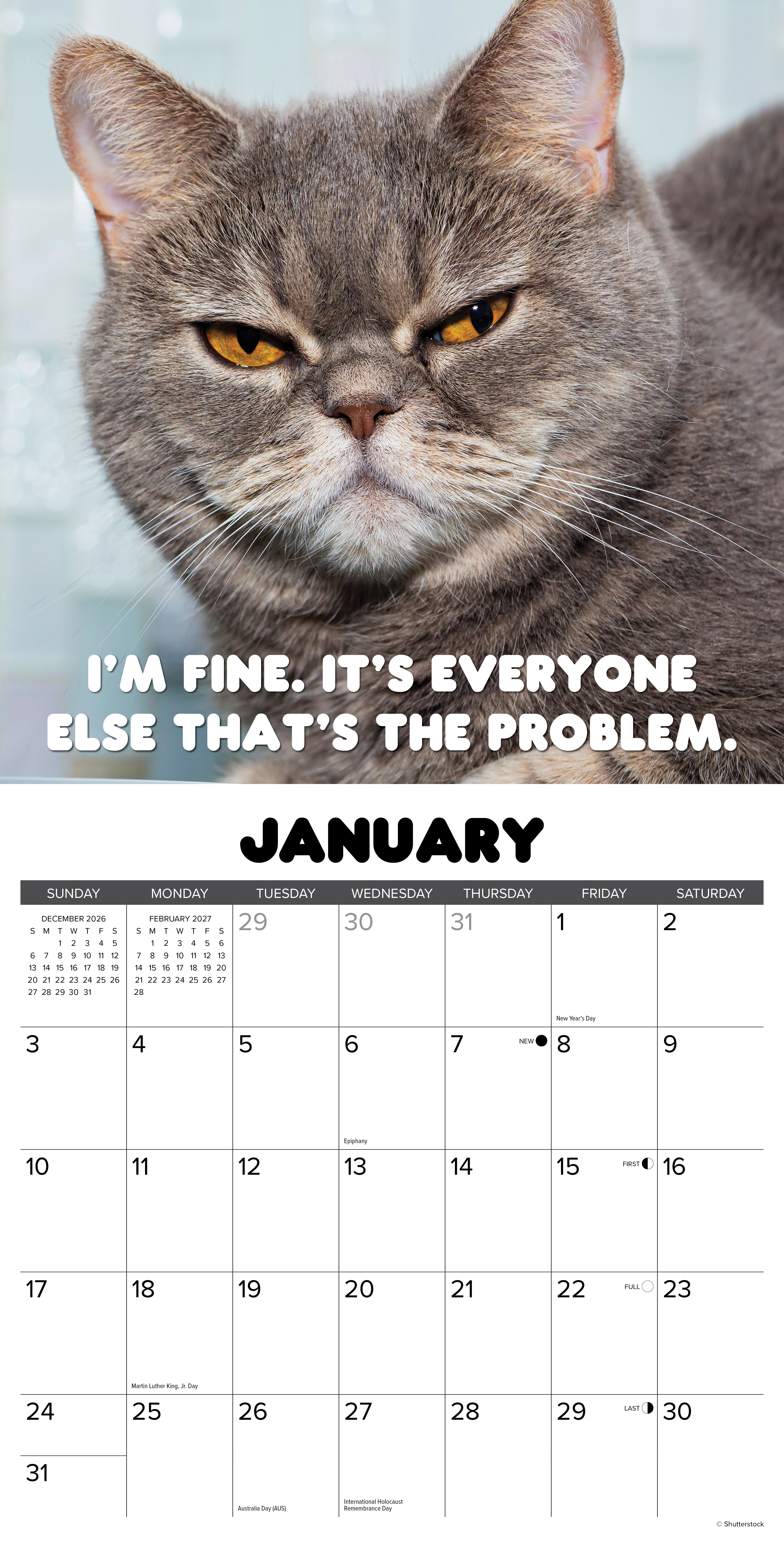 Willow Creek Press, Crabby Cats 2027 Wall Calendar