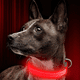 thumbnail image 4 of Collar luminoso LED recargable para perros, collar luminoso reflectante ajustable, 4 of 6