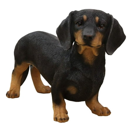 Ebros Adorable Large Lifelike Realistic Black and Tan Dachshund Dog Statue 19.5