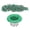 Green[cite: 1], variant on YAHHU 500Pcs Snap Buttons Iron Material Flat Smoothing Bright Surfaces Lightweight Colorful Sewing Snaps Orange 4.72 inches / 12 cm[cite: 1]