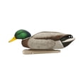 thumbnail image 4 of AVIAN-X Topflight Backwater Mallards Durable Ultra Realistic Floating Hunting Decoys, Pack of 6, AVX8070, 4 of 4