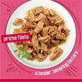 thumbnail image 3 of Purina Friskies Prime Filets, Salmon and Beef in Sauce, Wet Cat Food, 5.5 oz Can, 3 of 10