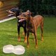 thumbnail image 4 of Laklulu Pet cuenco doble para perro, cuenco de arroz de paja de trigo antideslizante grueso, 4 of 5