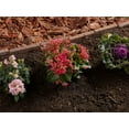 thumbnail image 5 of Nature's Way Garden Compost, 1 CF, Garden Soil, 5 of 10