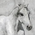 thumbnail image 2 of "Grey Elegant Horse" Painting Print on Wrapped Canvas, 2 of 7