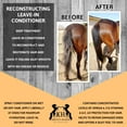 thumbnail image 6 of Knotty Horse Apricot Oil Conditioning Shampoo, 6 of 7
