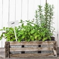 thumbnail image 4 of 30pcs Plastic Plant Labels Garden Plant Markers Waterproof Plant Identify Tags, 4 of 9