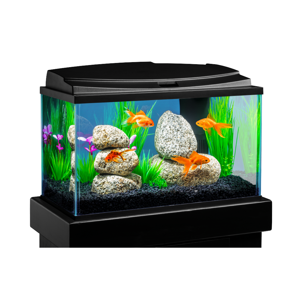 Tetra, 10 Gallon Goldfish Aquarium Fish Tank, LED Kit