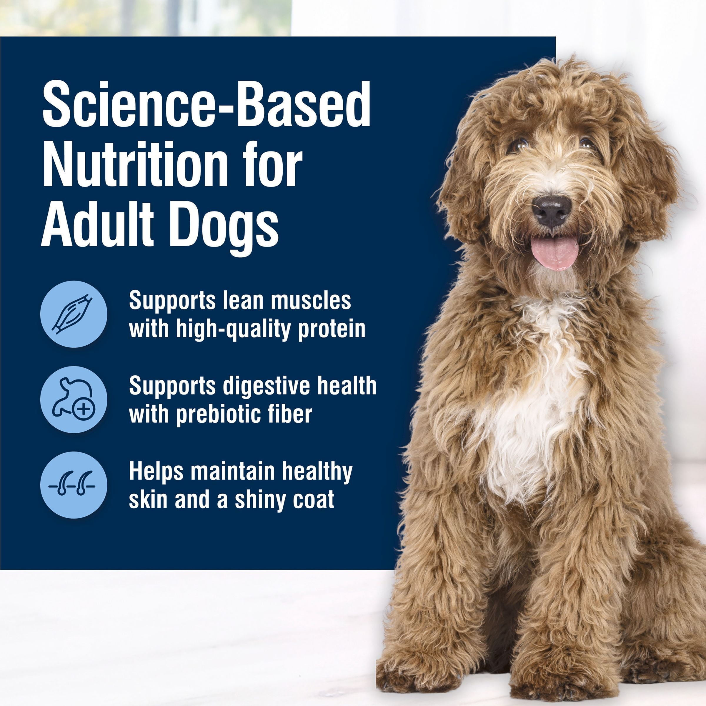 Blue Buffalo True Solutions Total Support Natural Dry Dog Food, Chicken, 4-lb. Bag