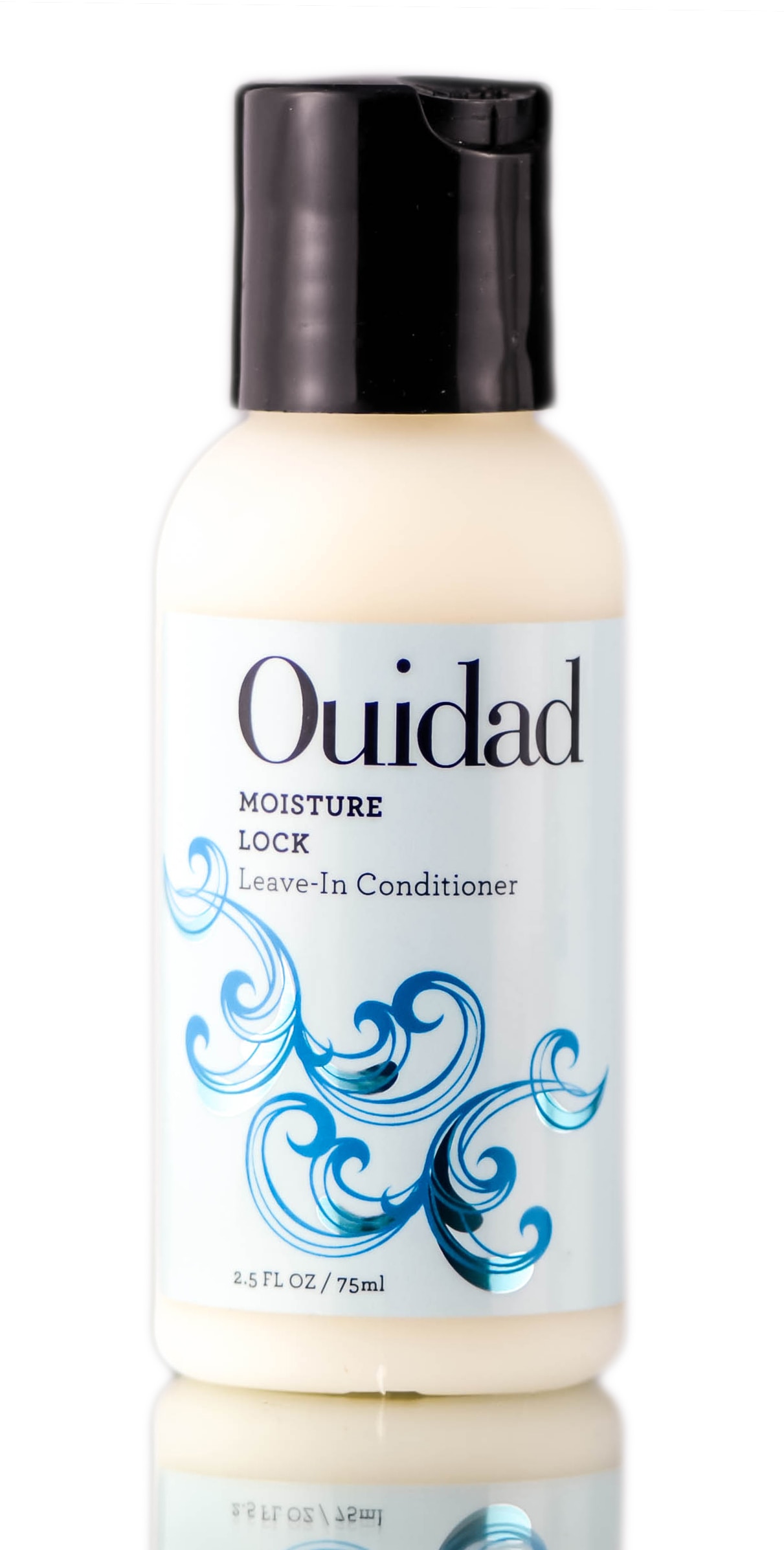 Ouidad Ouidad Moisture Lock LeaveIn Conditioner 2.5 oz Walmart