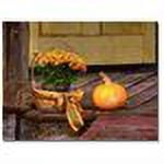 Trademark Fine Art "Pumpkin on the Porch" Canvas Wall Art by Lois Bryan
