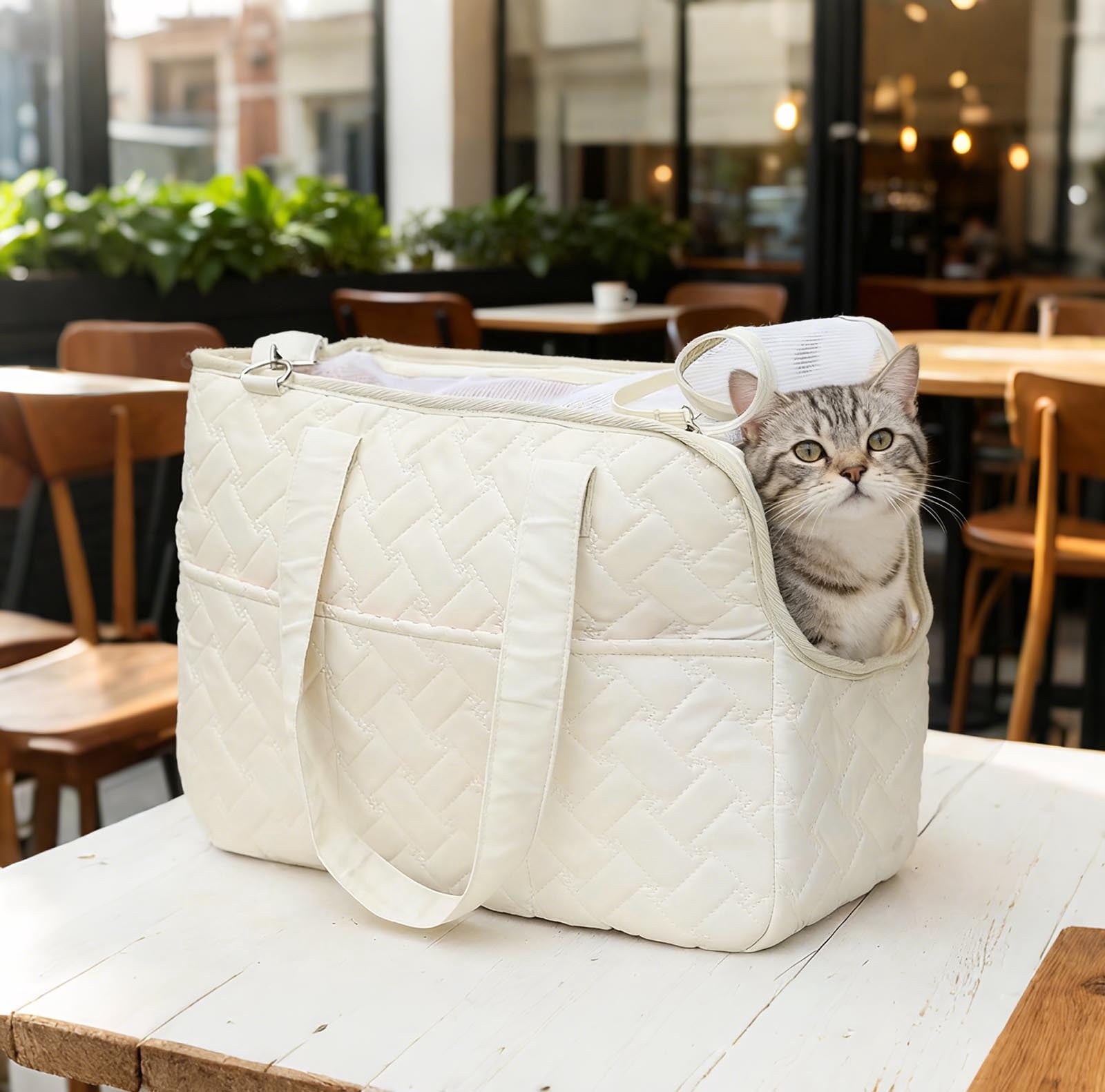 Lightweight Shoulder Strap Pet Tote for Cats and Small Dogs with Breathable Mesh Window Secure Outdoor Travel Backpack Alternative