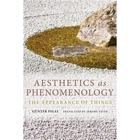 Pre-Owned Studies in Continental Thought Aesthetics as Phenomenology: The Appearance of Things, (Paperback)