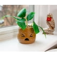 thumbnail image 5 of Harry Potter Mandrake Face 6-Inch Ceramic Planter with Artificial Succulent, 5 of 7