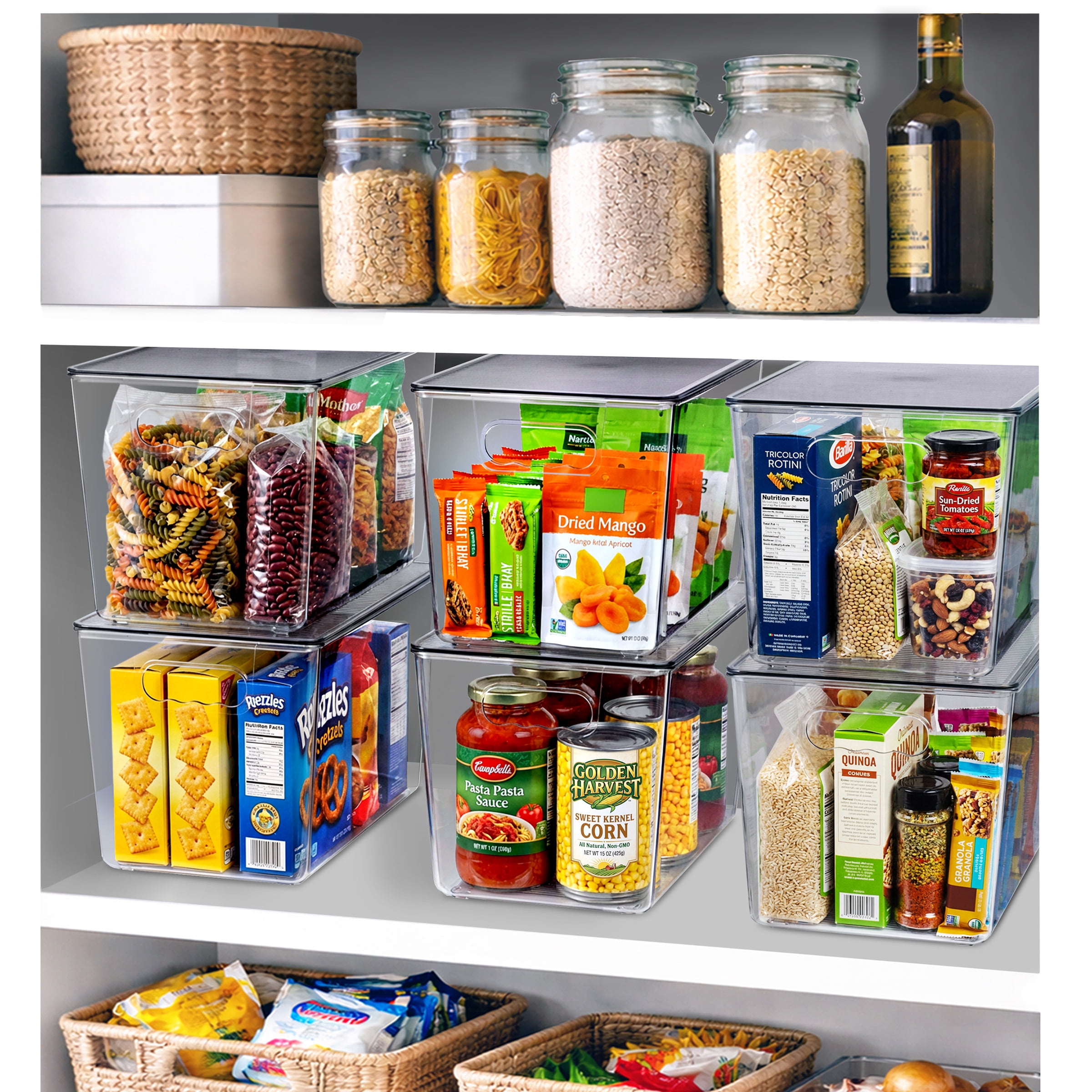 Sorbus Clear Storage Bins with Lids and Handles, X-Large BPA-Free Organizers, Set of 10