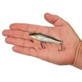 thumbnail image 4 of Berkley Ripfish, 9, Black Silver, 4 of 5