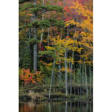 Small lake with autumn color, Marquette, Michigan USA Print Wall Art By Chuck
