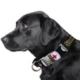 thumbnail image 2 of Littlearth Collar Para Mascotas Unisex De La Nfl Pittsburgh Steelers Premium, Color Del Equipo Pequeño, 2 of 4