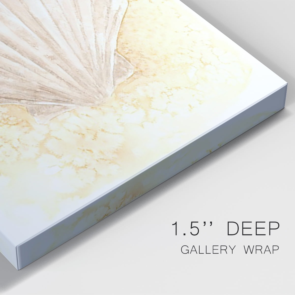 Salty Seashell II Premium Gallery Wrapped Canvas - Ready to Hang