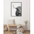 thumbnail image 5 of Kate and Laurel Sylvie B&W Highland Cow No. 1 Framed Canvas Wall Art by Amy Peterson Art Studio, 28x38 Gray, Black and White Animal Portrait Art, 5 of 6