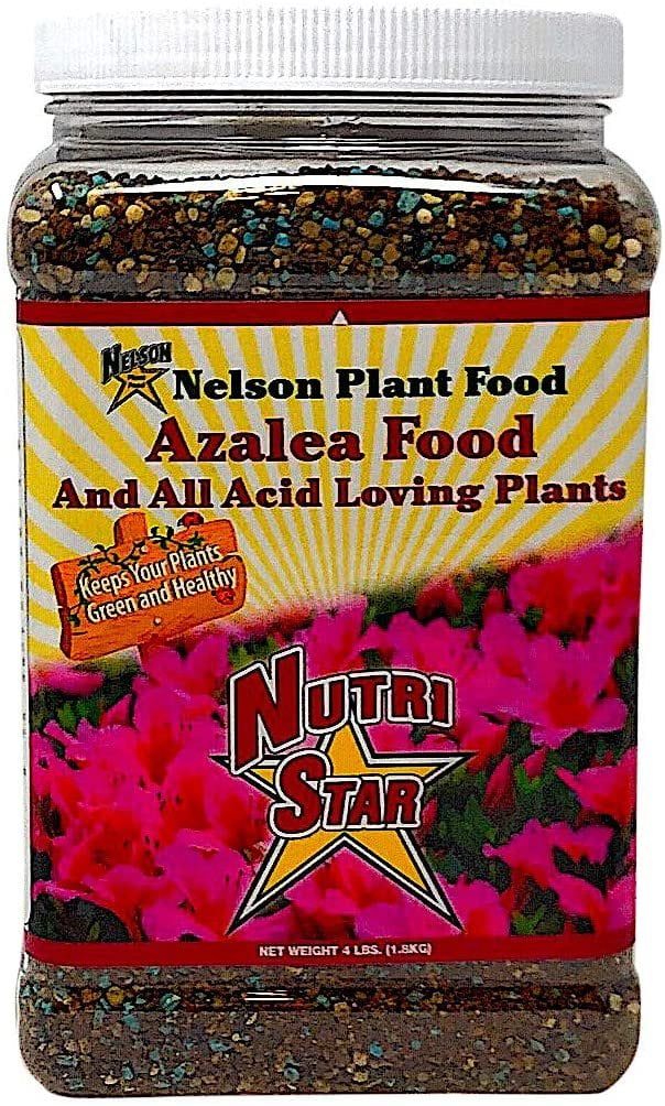 Nelson Azalea (Acidicloving plants) 91311 4lb