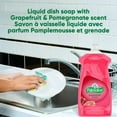 thumbnail image 5 of Palmolive Essential Clean Liquid Dish Soap, Grapefruit Pomegranate Scent - 473 mL, Palmolive Essential Clean, 5 of 5