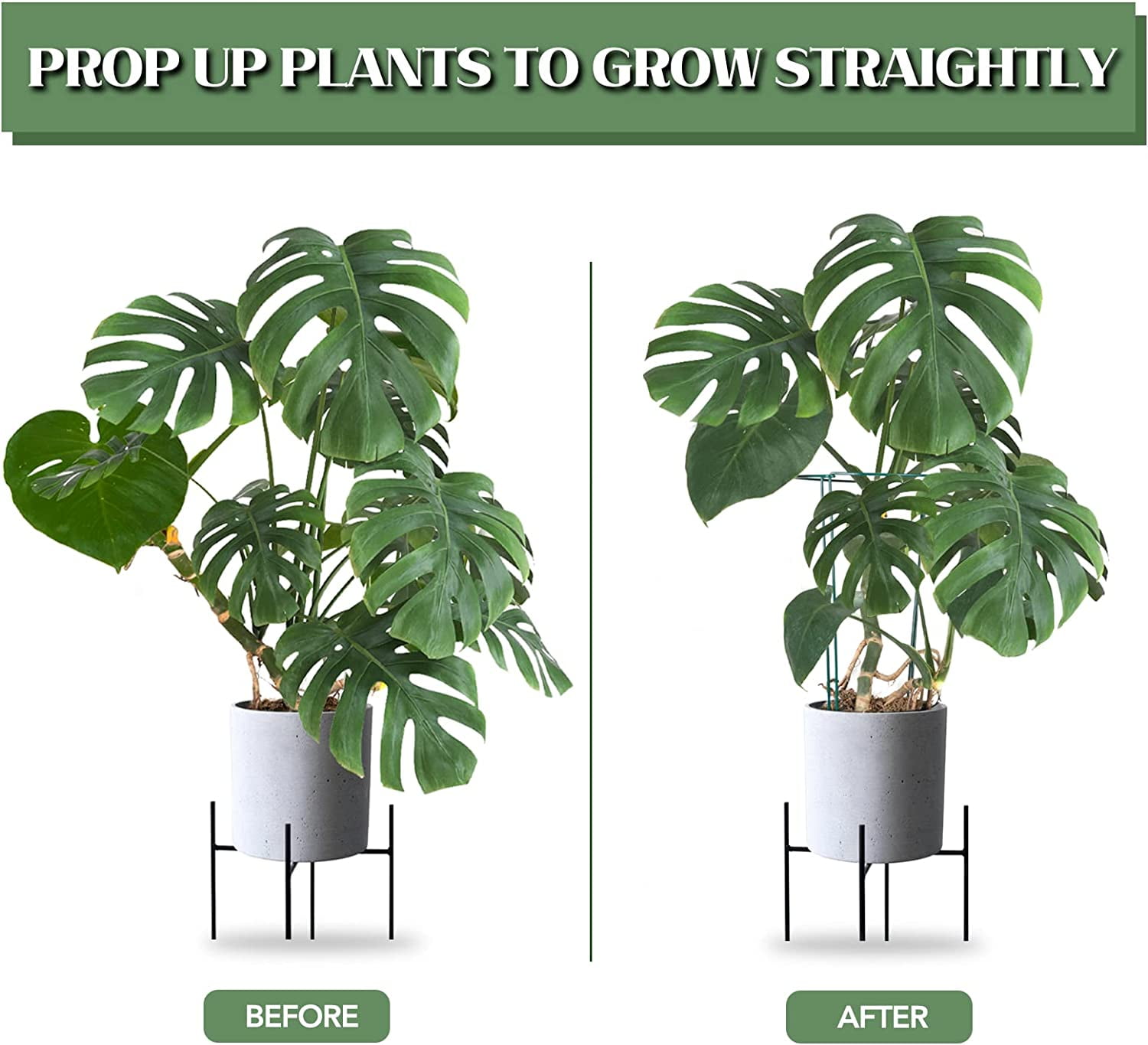 12 Pack Plant Support Stakes, 16 Inch Plant Stakes for Outdoor Plants, Peony Cages and Supports, Peony Cage with 15 Pcs Twist Ties, Flower Stakes Peonies Support Cages for Plants